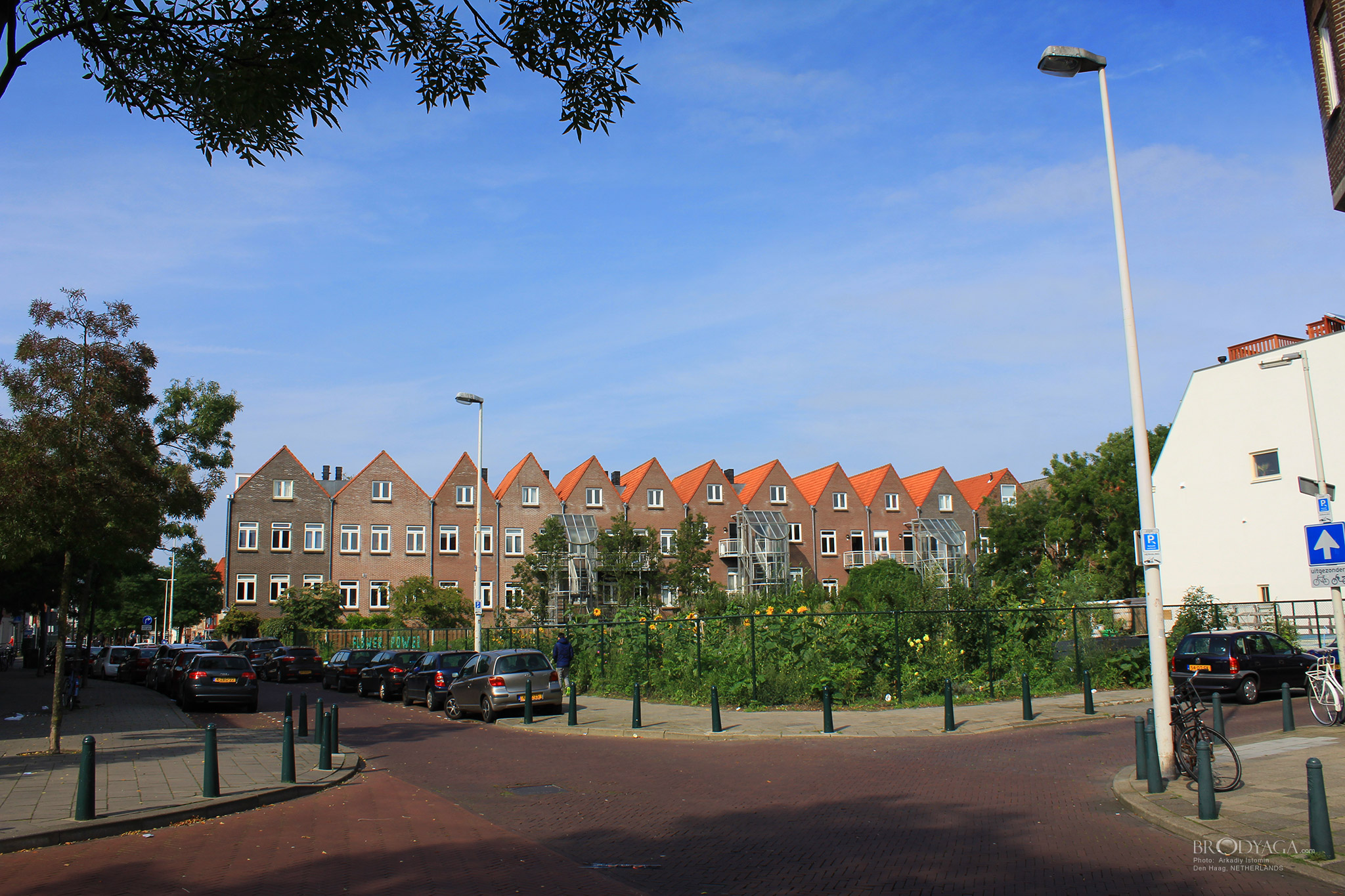 Den Haag